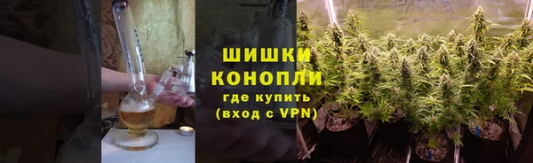 сатива Балабаново