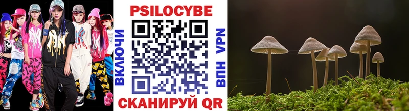 Галлюциногенные грибы Cubensis как найти Нерчинск